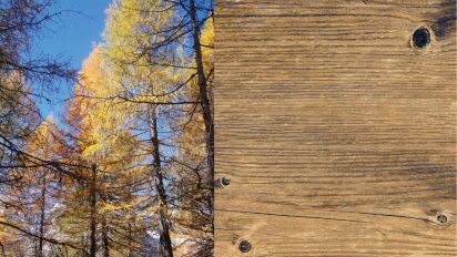 Gres Effetto Legno